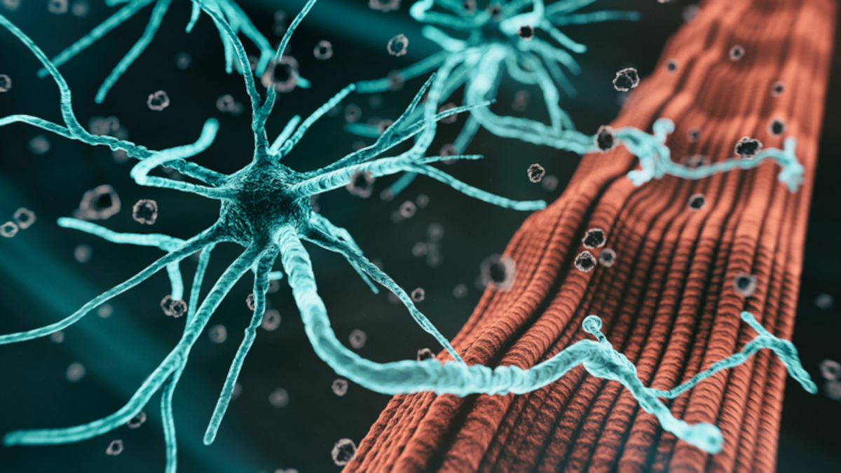 Call for papers: Post-translational modification-derived mechanisms in neurodegeneration Collection