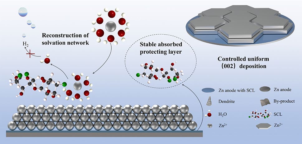 Exposing Zn(002) Texture with Sucralose Additive for Stable and Dendrite‑Free Aqueous Zinc‑Ion Batteries