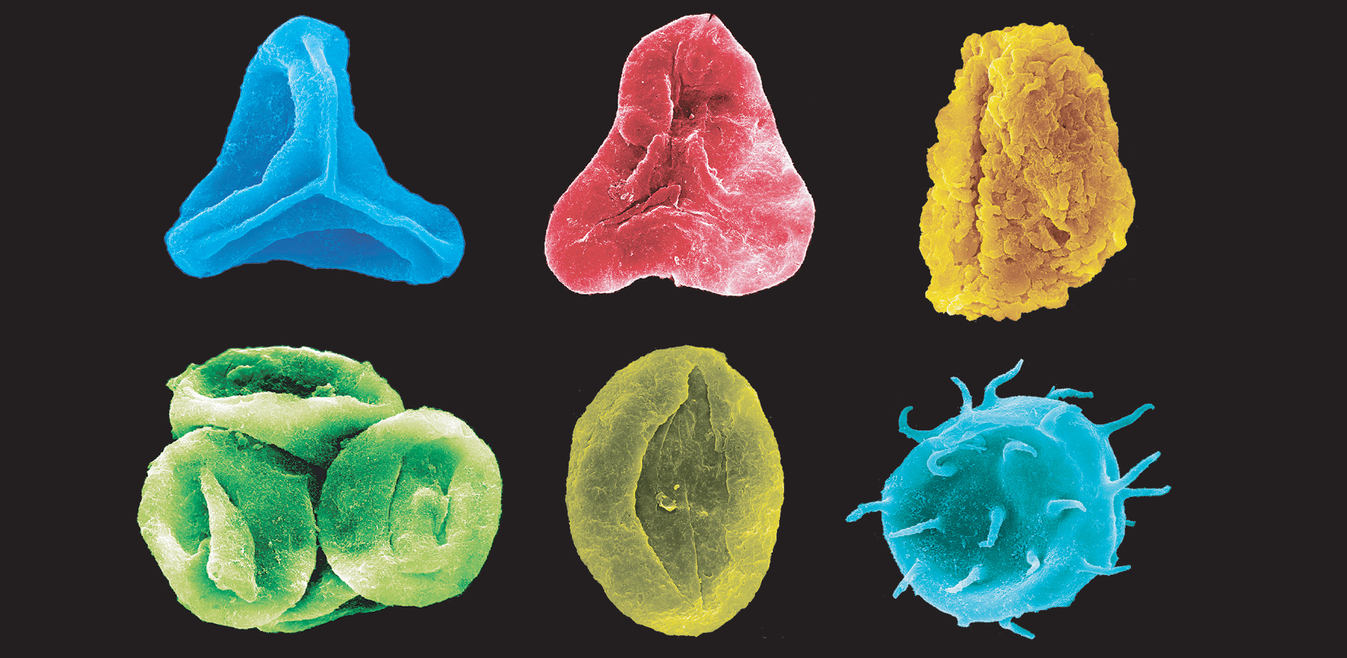 Global warming caused major environmental changes on land during the Jurassic