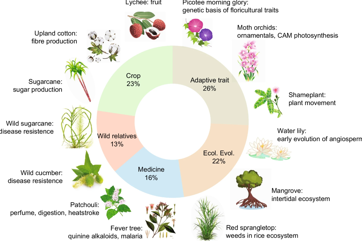 Bringing tropical plant diversity into the genomic era