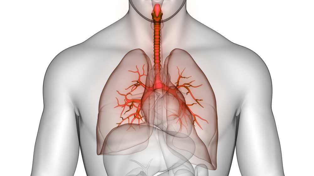 Call for Papers: Brain-lung crosstalk