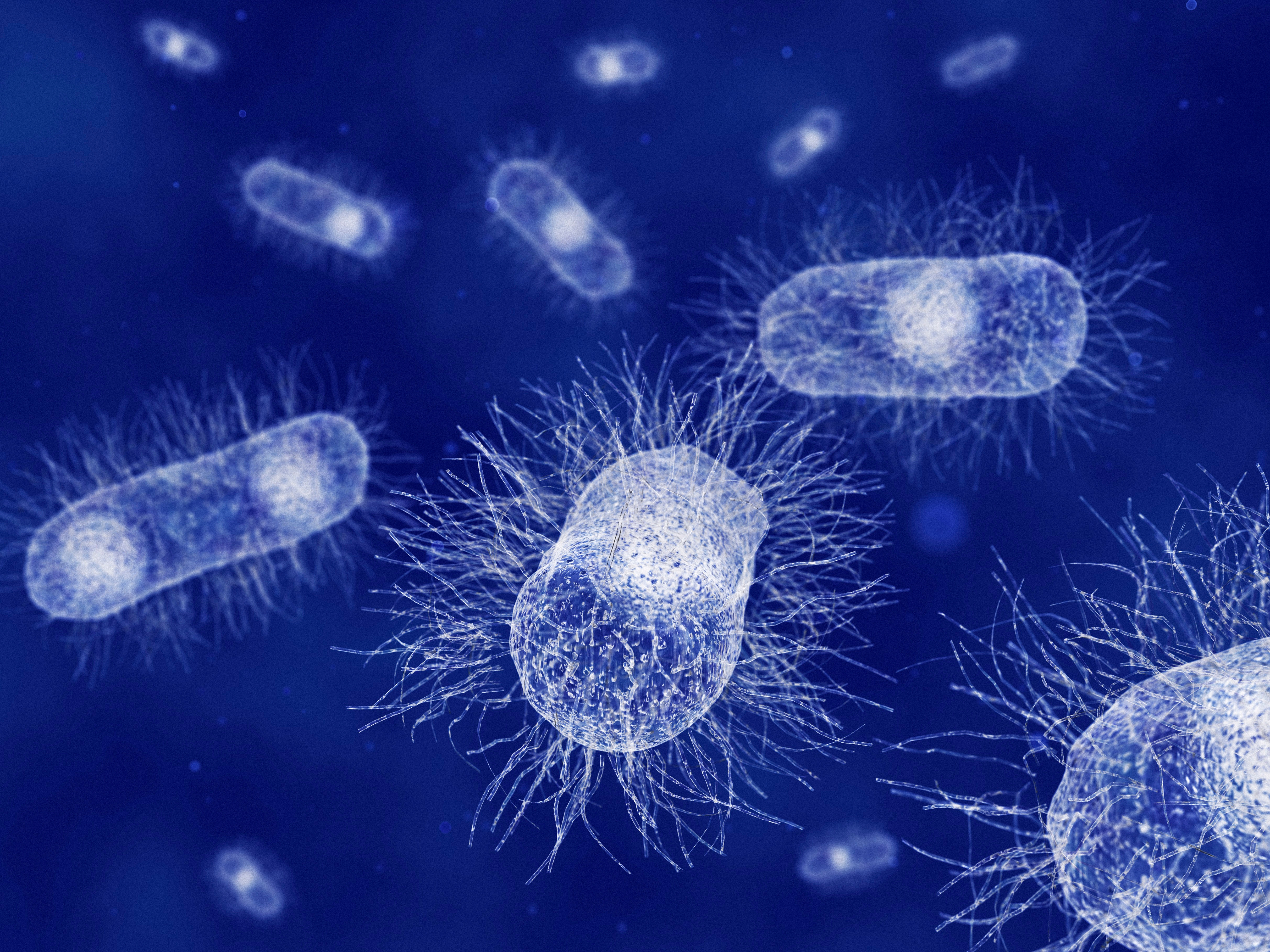 Top 100 in Microbiology | Scientific Reports