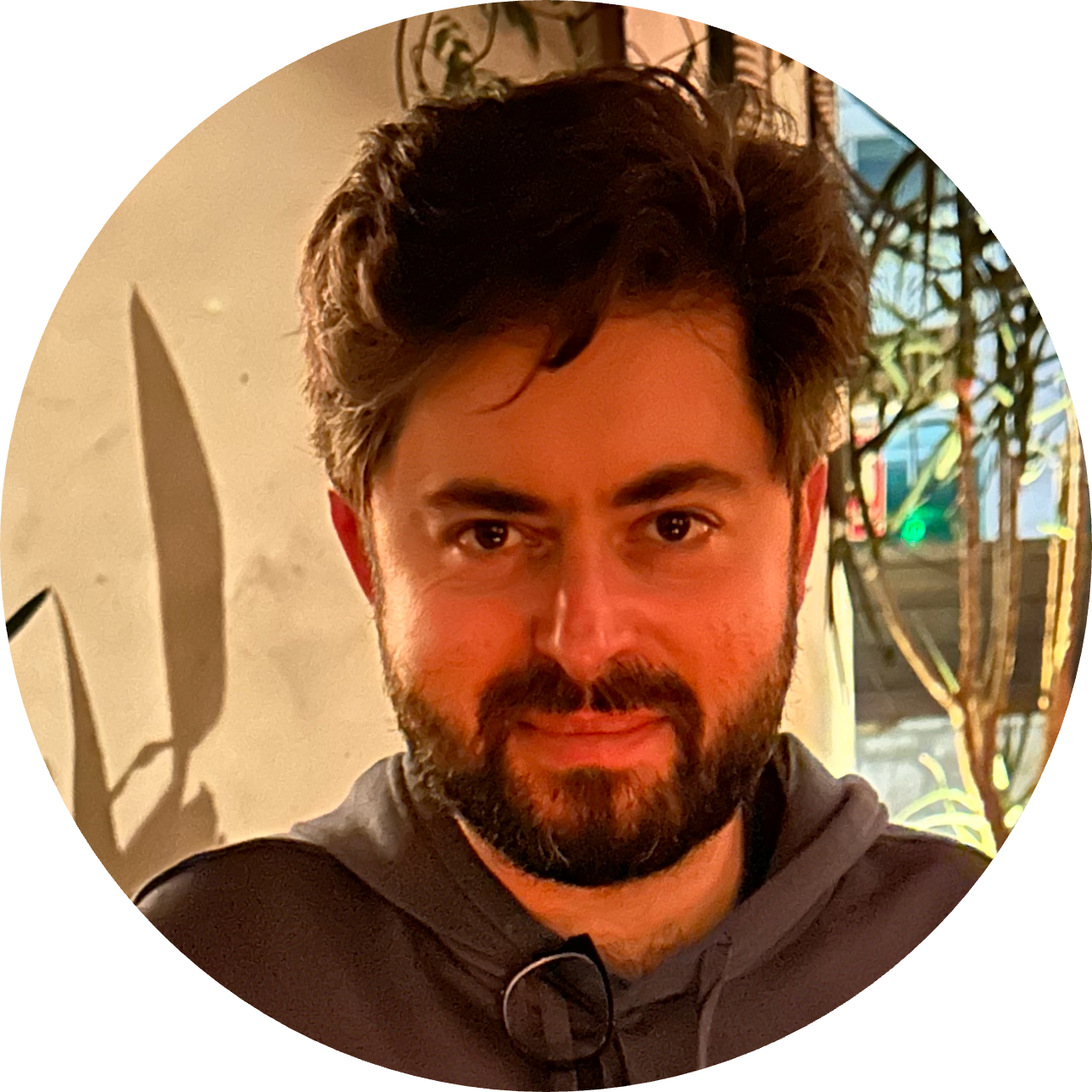 Go to the profile of Ramis Movassagh