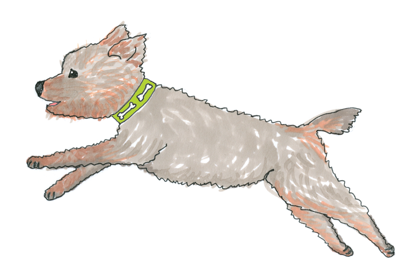 Drawing from memory 