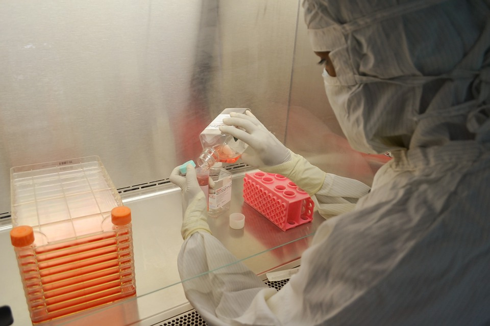 Behind-the-Primer: an interview with early career researcher authors