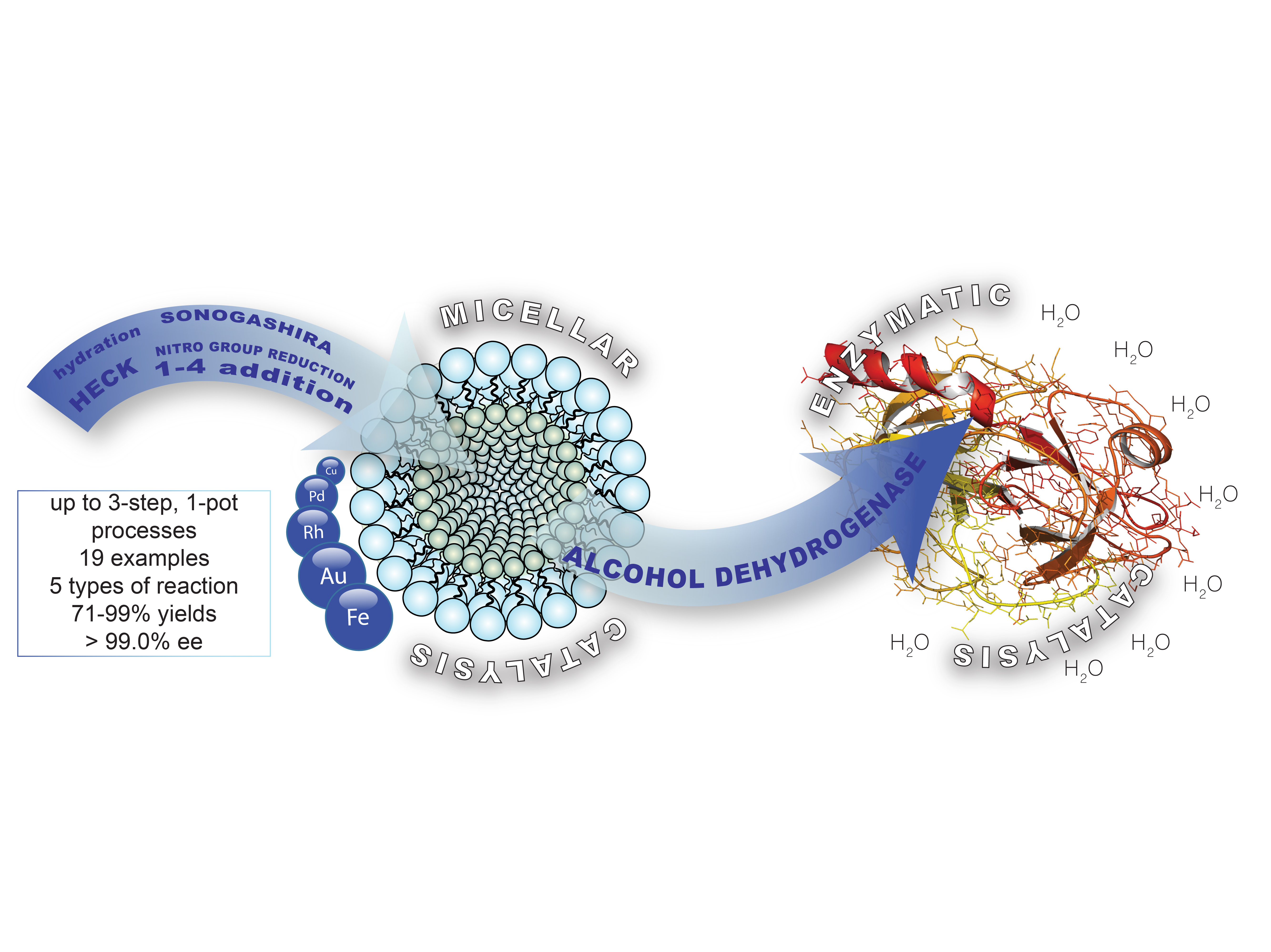 Bridging the gap between transition metal and bio-catalysis via aqueous micellar catalysis