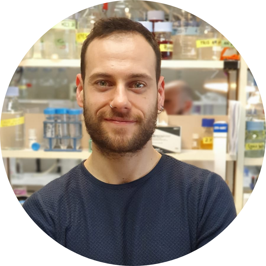 Go to the profile of Adrià Sogues