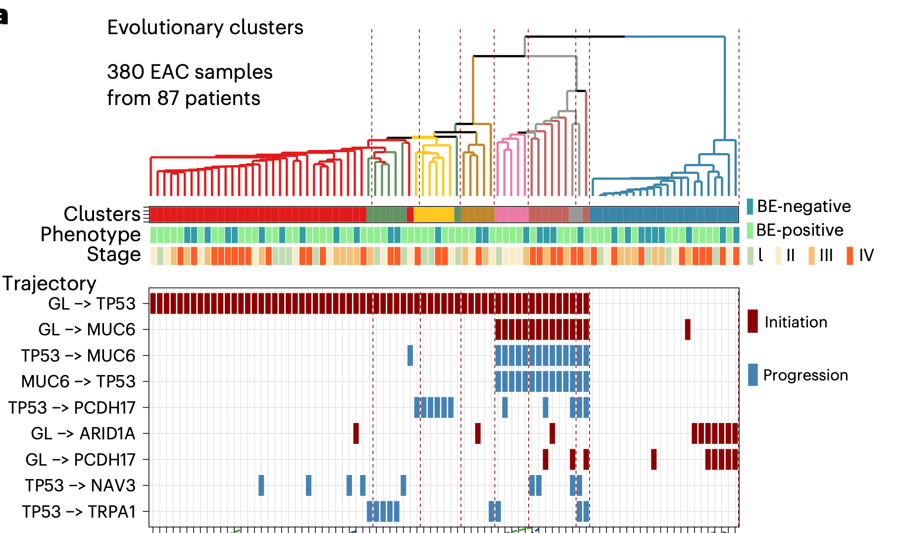 When cancer hides its origins: unique insights from Barrett's esophagus and esophageal adenocarcinoma