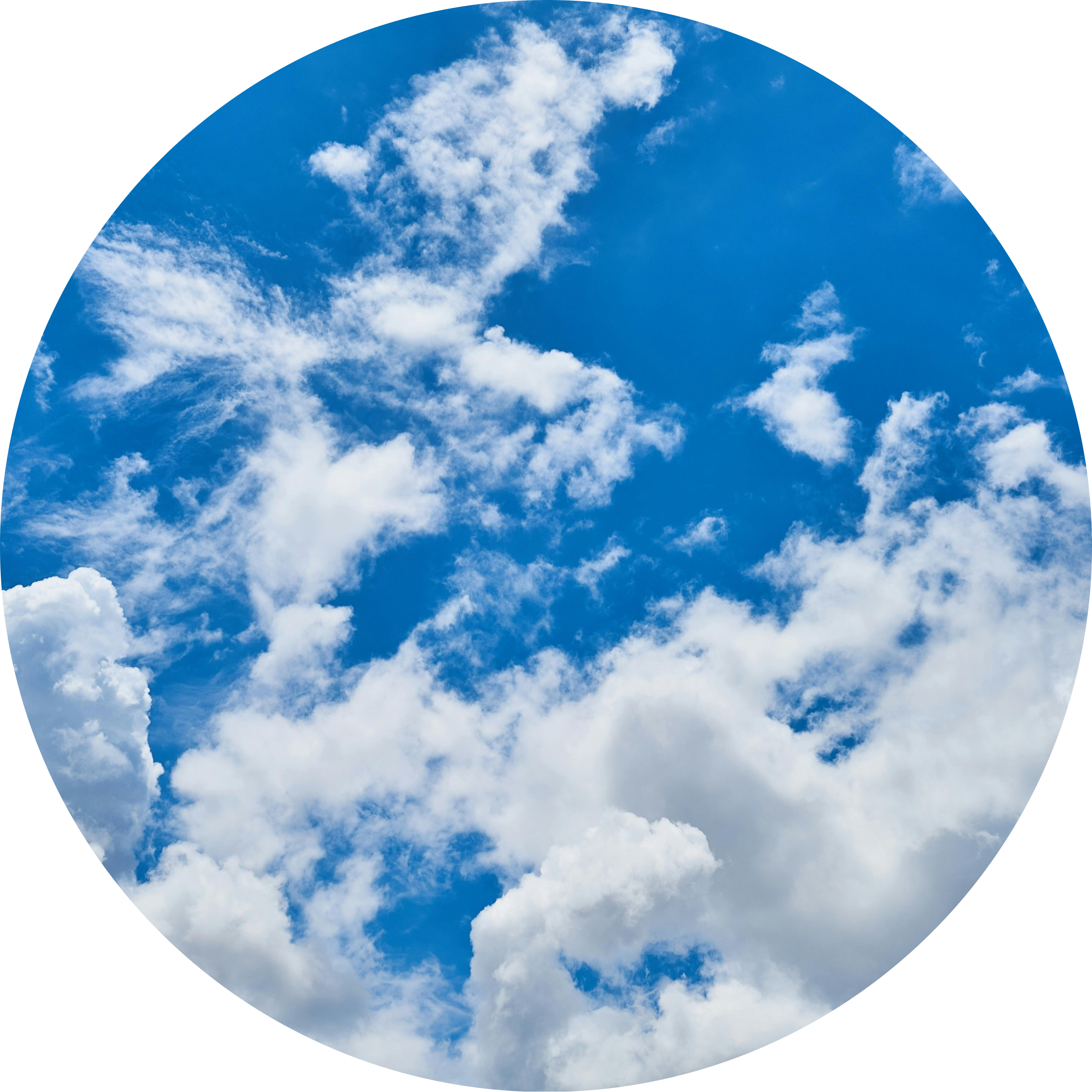 Go to the profile of Sharon Roman