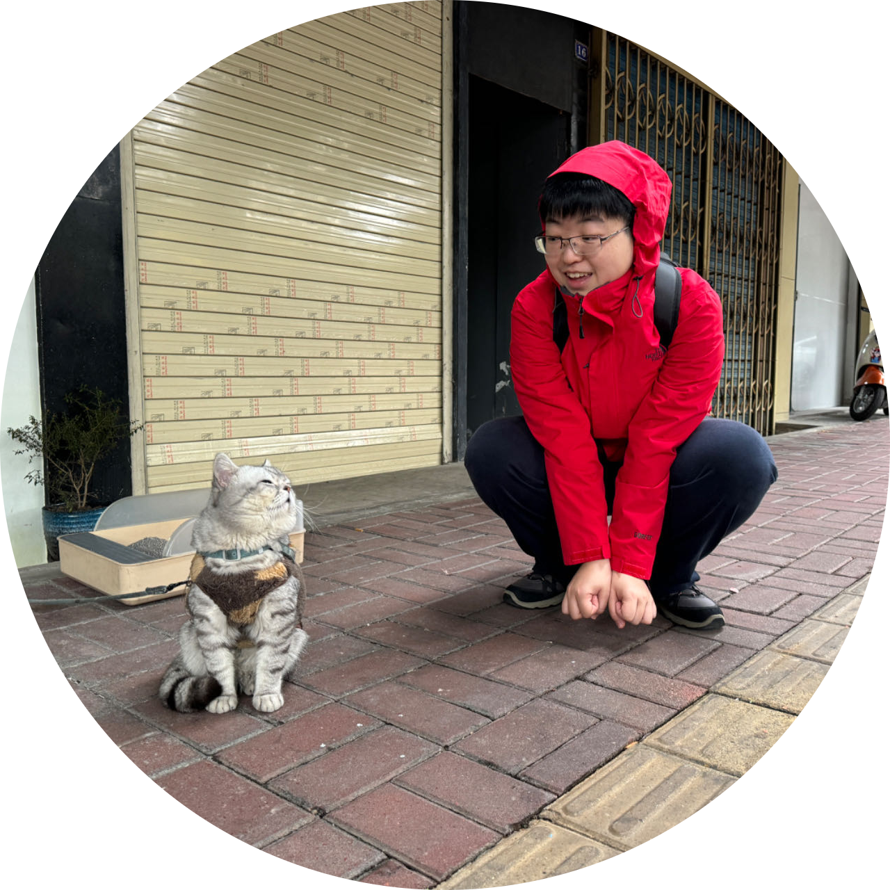 Go to the profile of Zhang Wenqi