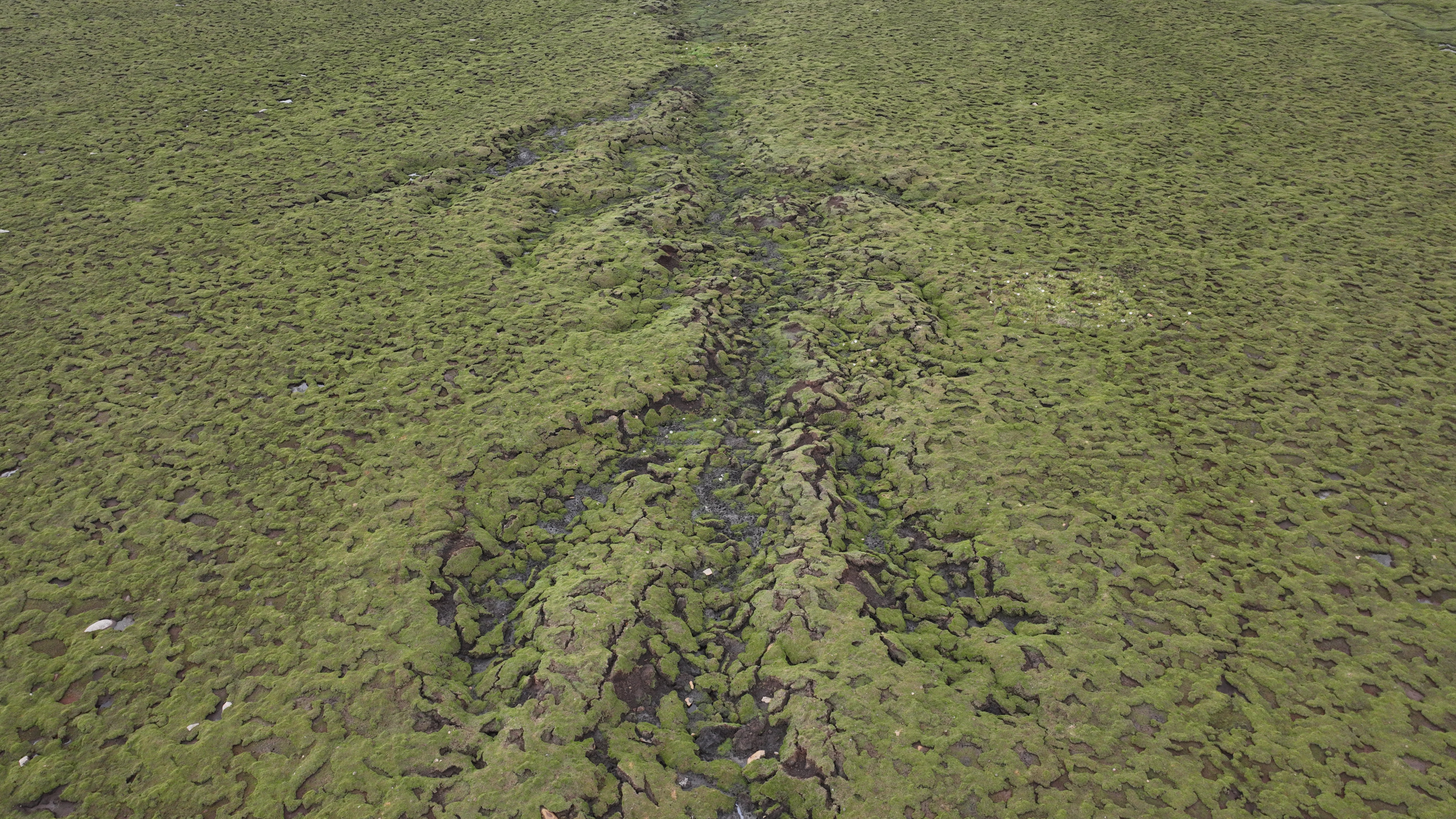 Abrupt permafrost thaw accelerates soil phosphorus cycling