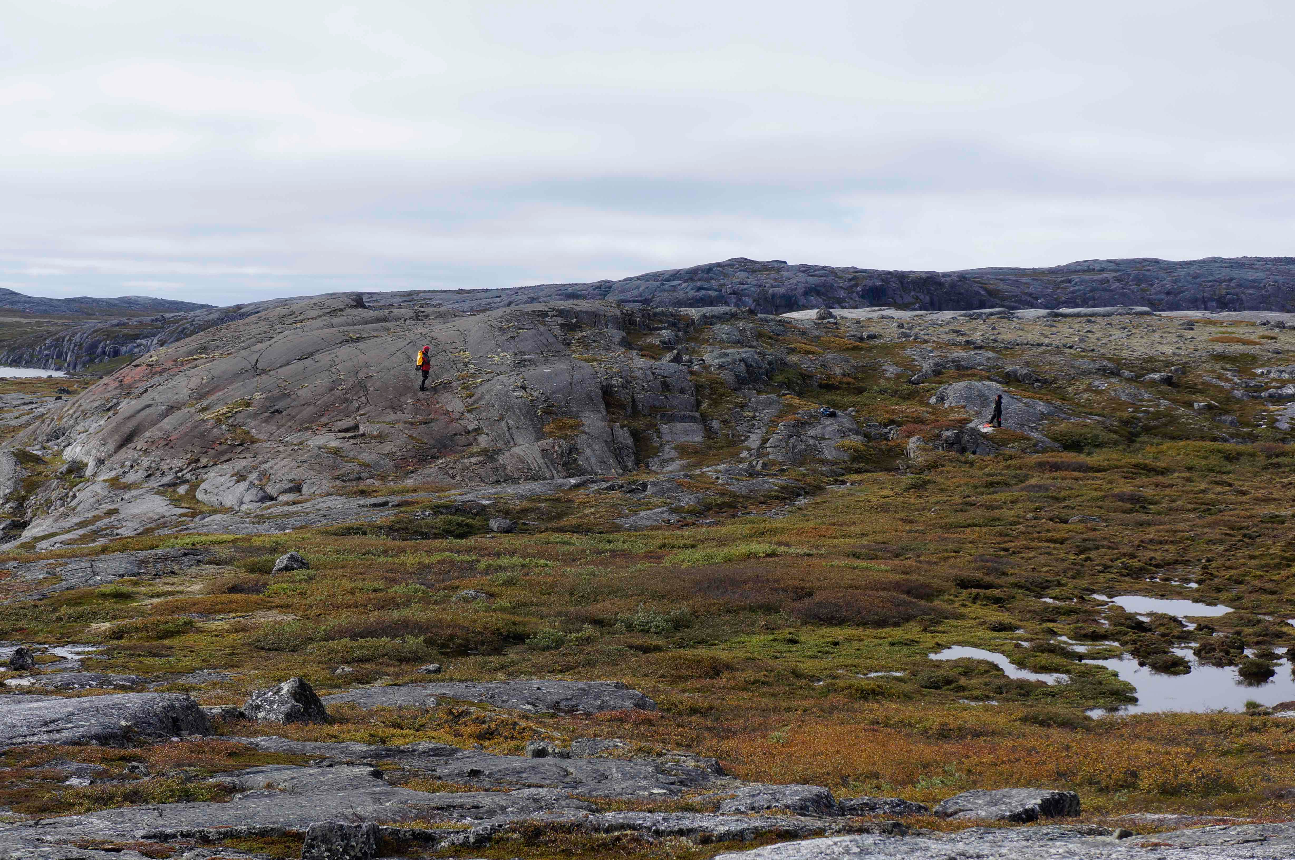 Eoarchean subduction-like magmatism recorded in 3750 Ma mafic-ultramafic rocks of the Ukaliq supracrustal belt (Québec)