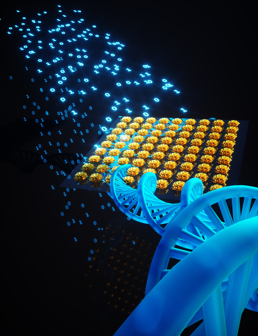 Gene Circuits Move onto “The Grid”
