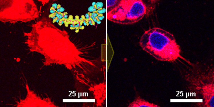 Mechanical therapy: A plasmon-driven molecular machine rapidly kills cancer cells and eliminates tumors by mechanical action