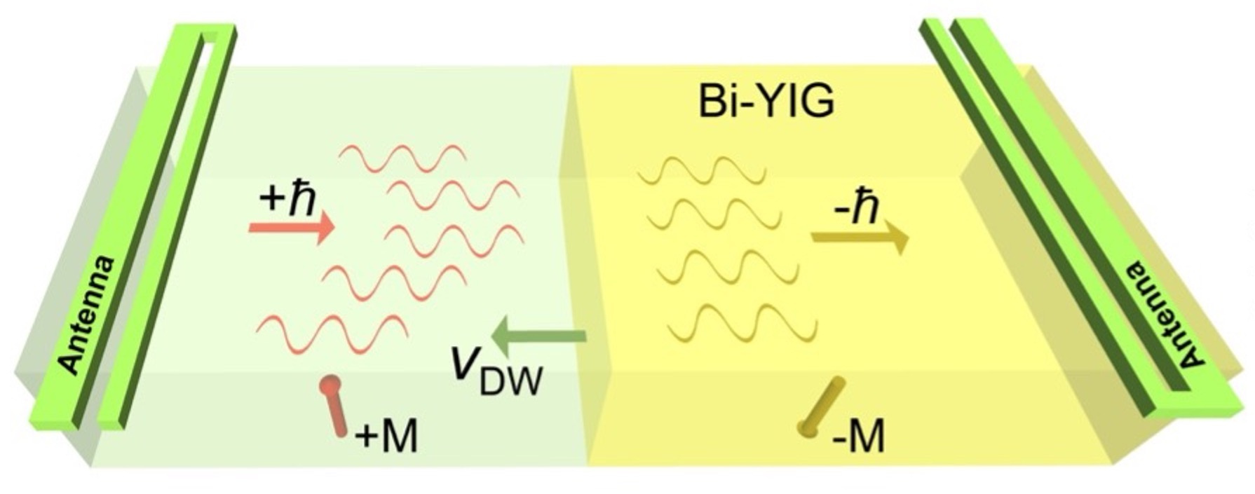 Coherent magnon-induced domain wall motion in a magnetic insulator channel