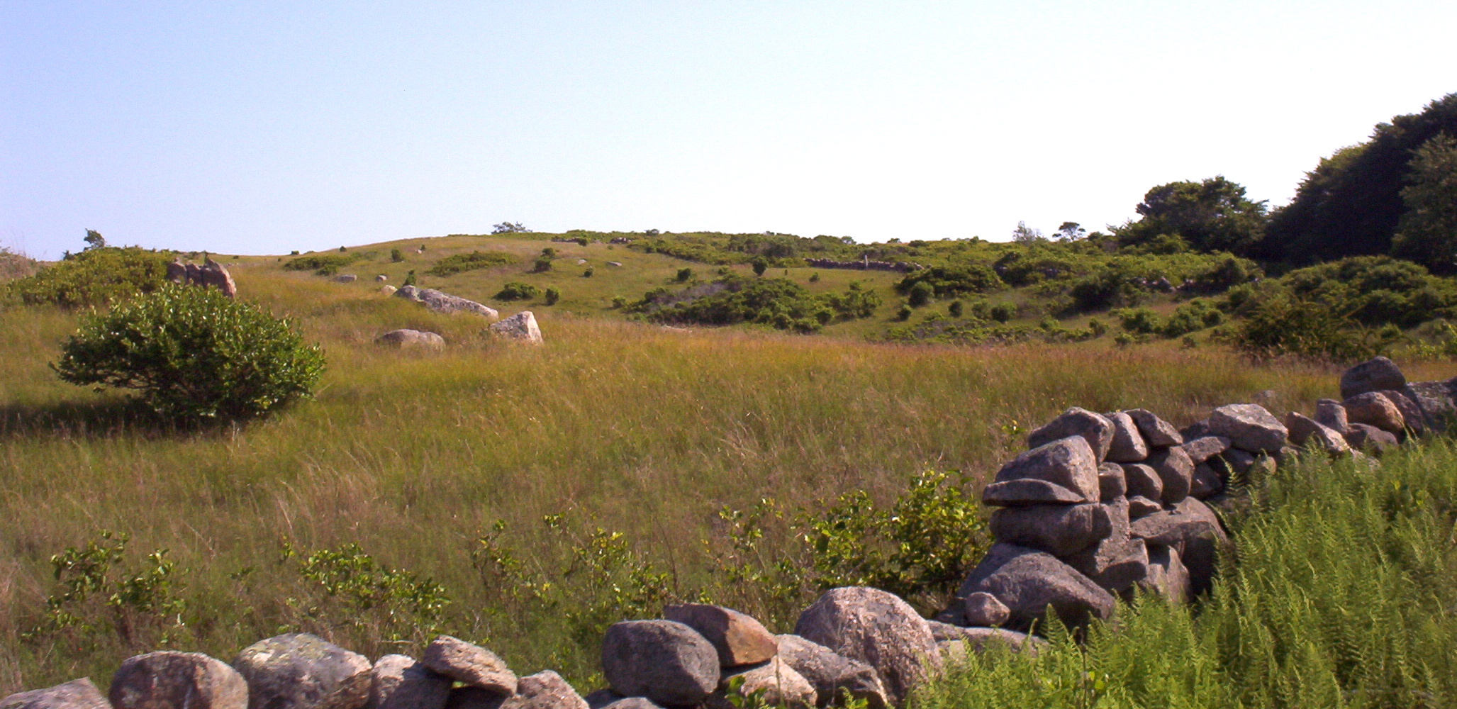 Retrospective science informs regional conservation and land management