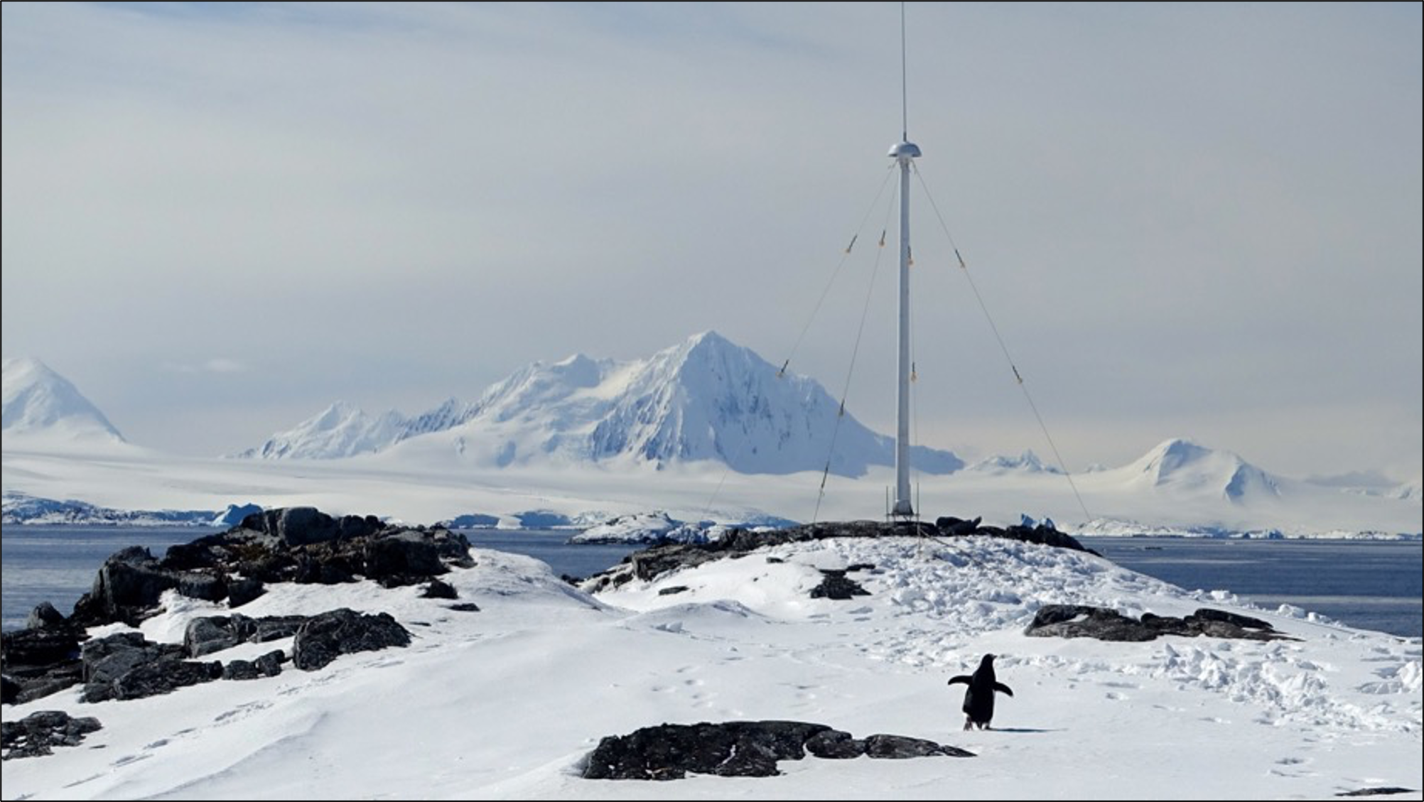 An Antarctic Ecosystem Influenced by Coastal Currents