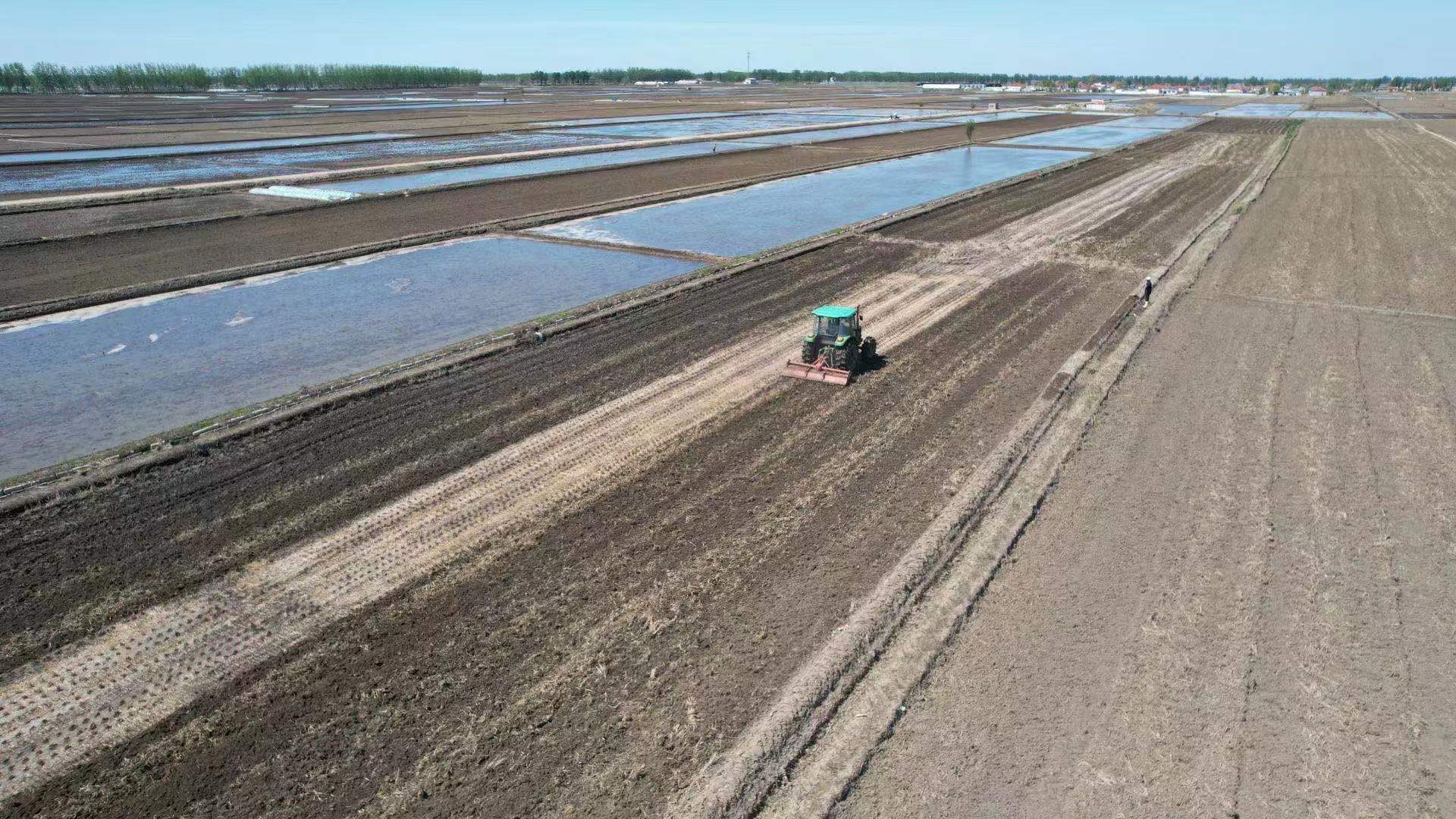 How little microorganisms mediate soil organic carbon in cropland