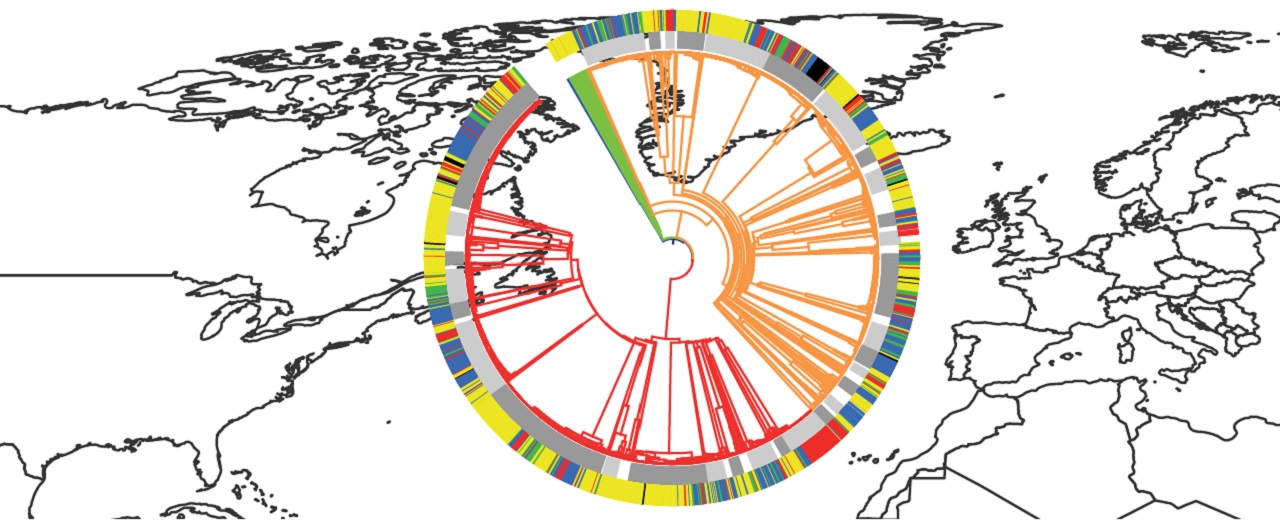 Listeria monocytogenes WGS: one method to rule them all