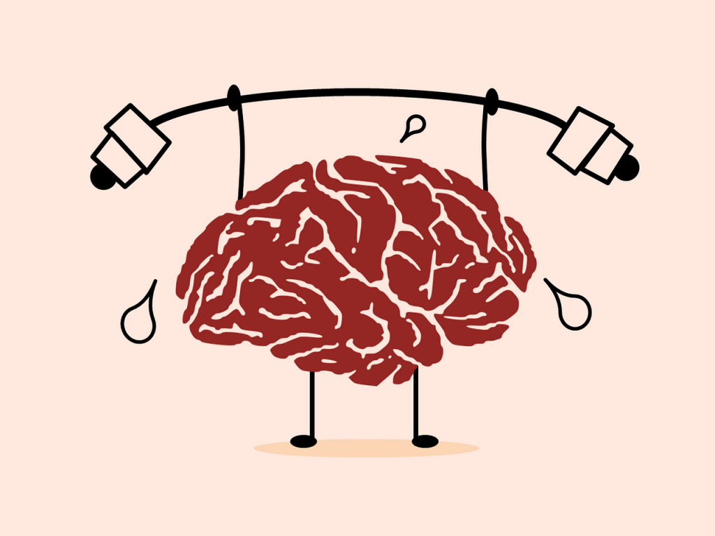 Training and stimulation improves brain performance