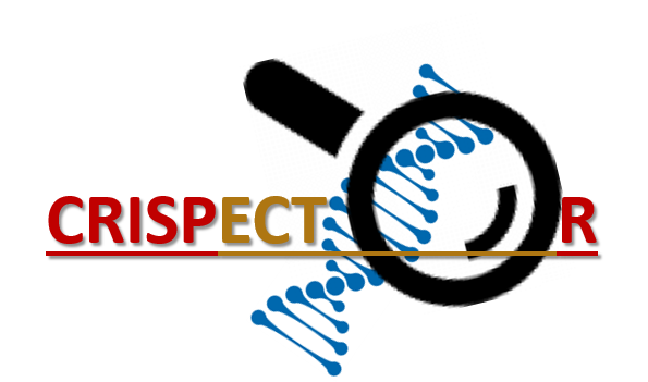 CRISPECTOR: A Better Tool for Measuring CRISPR-Cas-induced Adverse Activity