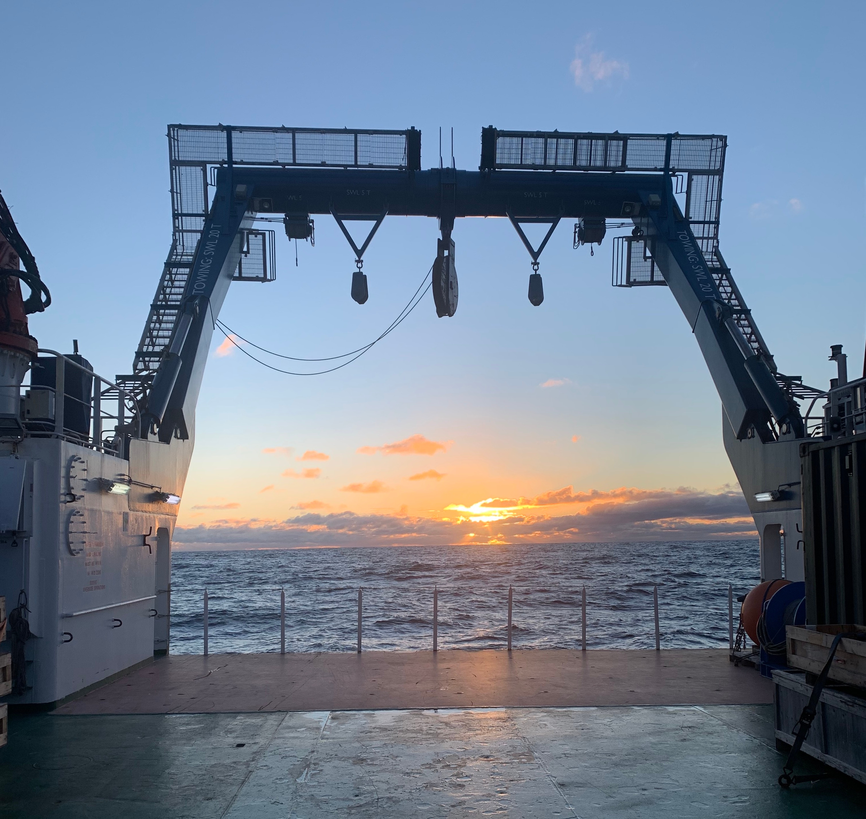 Marine microbes at the mercy of trace metals
