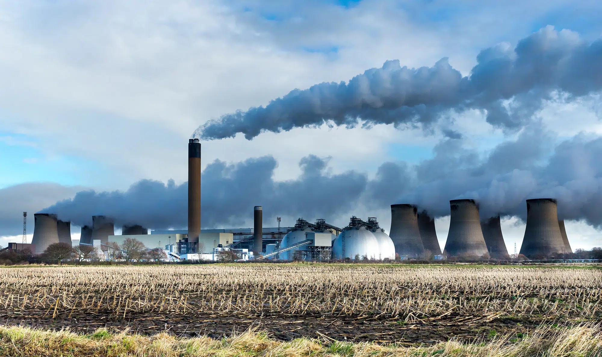Observationally constrained global NOx and CO emissions variability reveals sources which contribute significantly to CO2 emissions