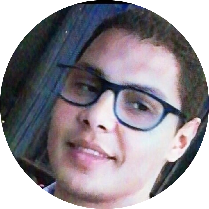 Go to the profile of Ahmed A. Sedik