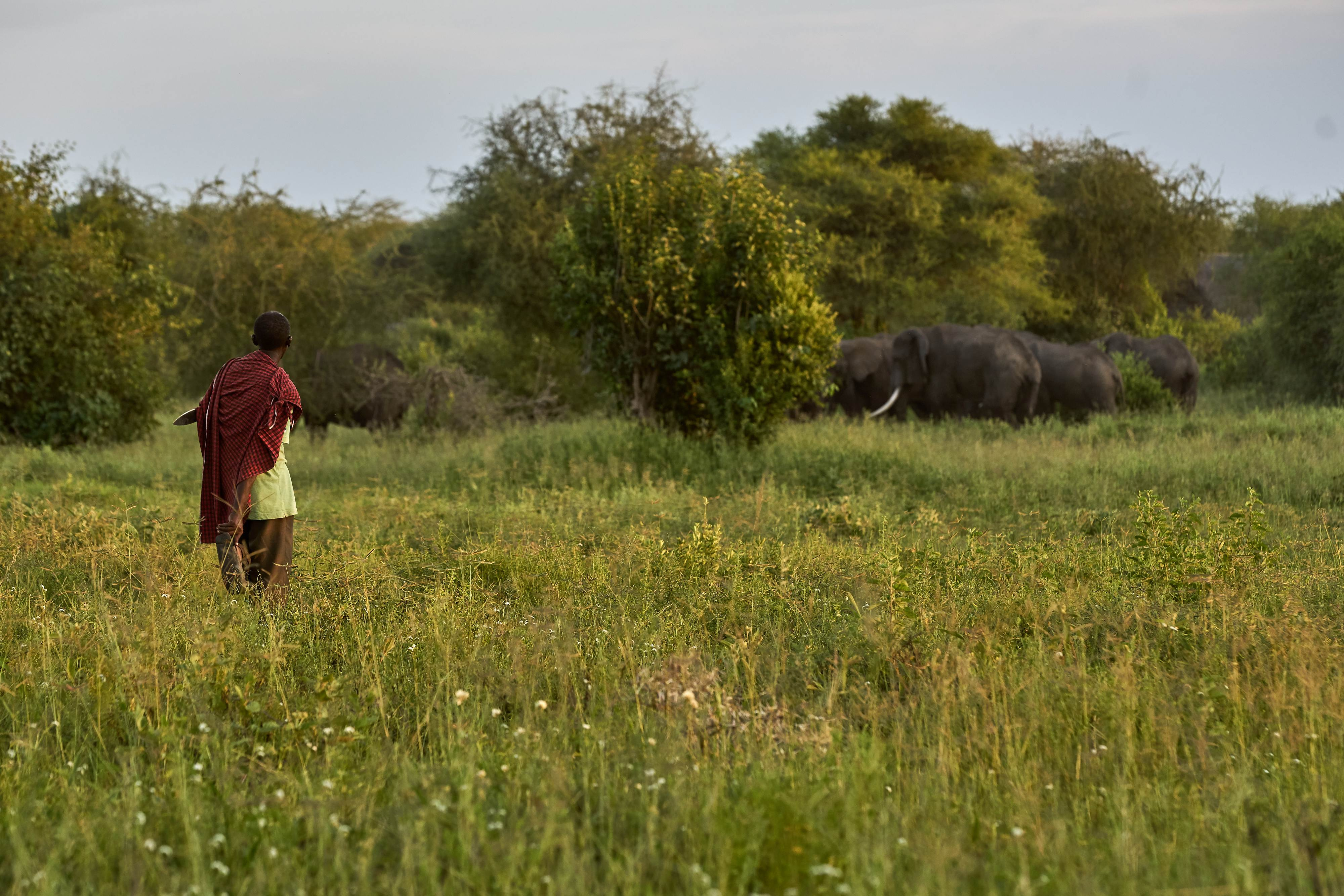 Quasi-experimental study of impacts of community-based conservation in Tanzania