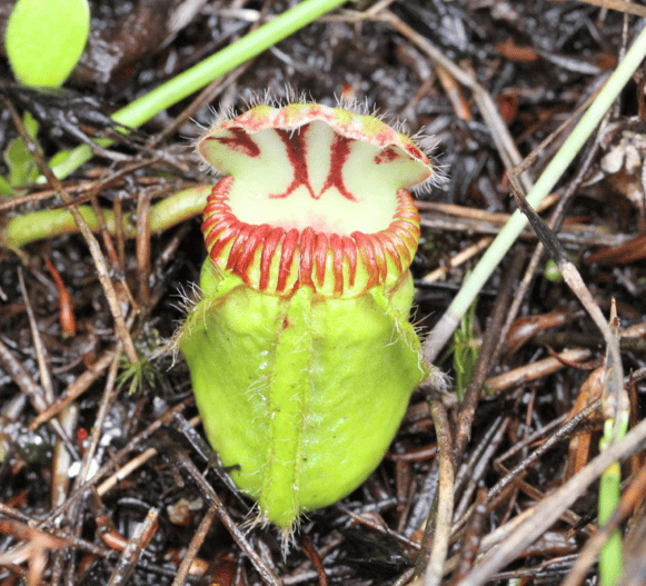 Go to the profile of Mitsuyasu Hasebe