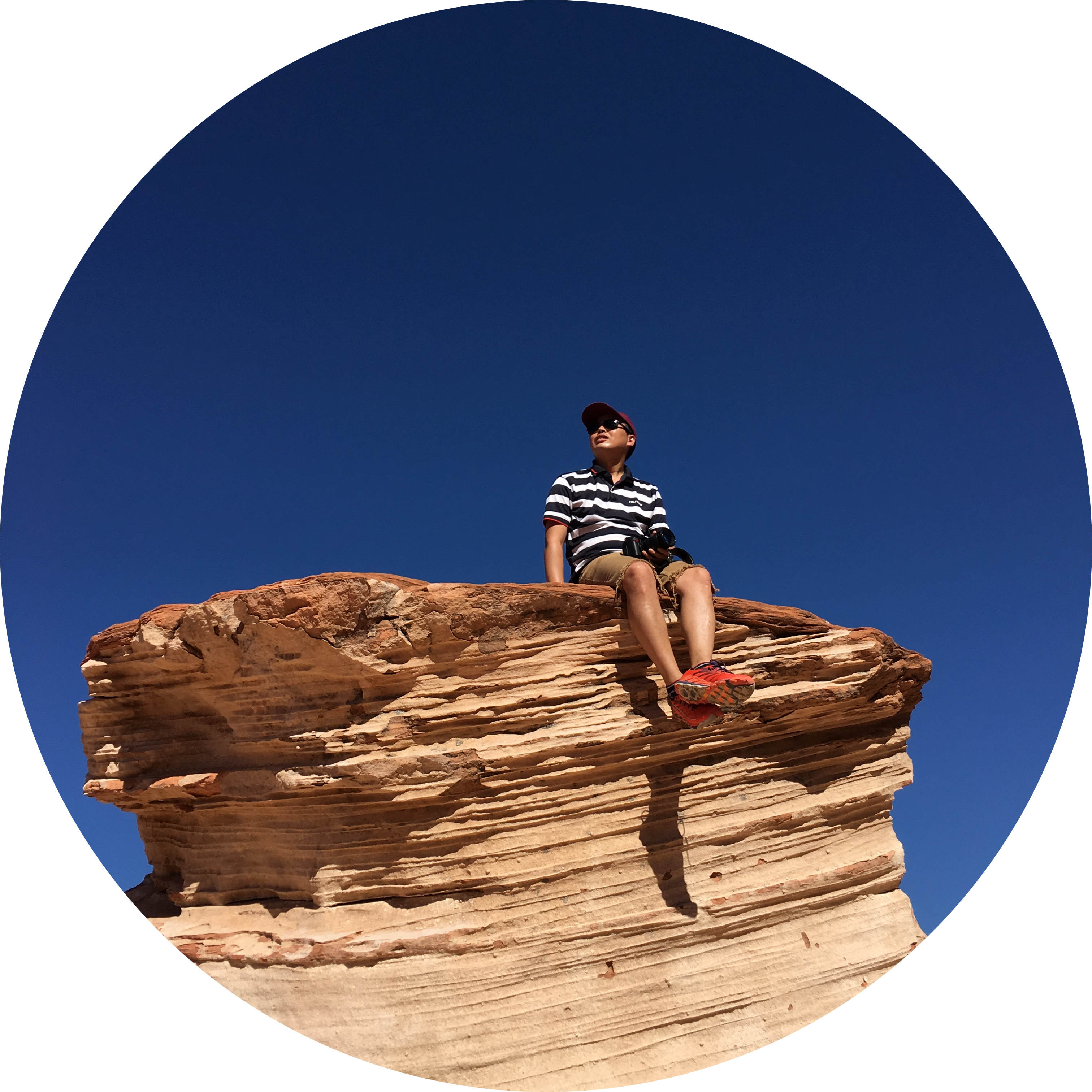 Go to the profile of YANG LIU