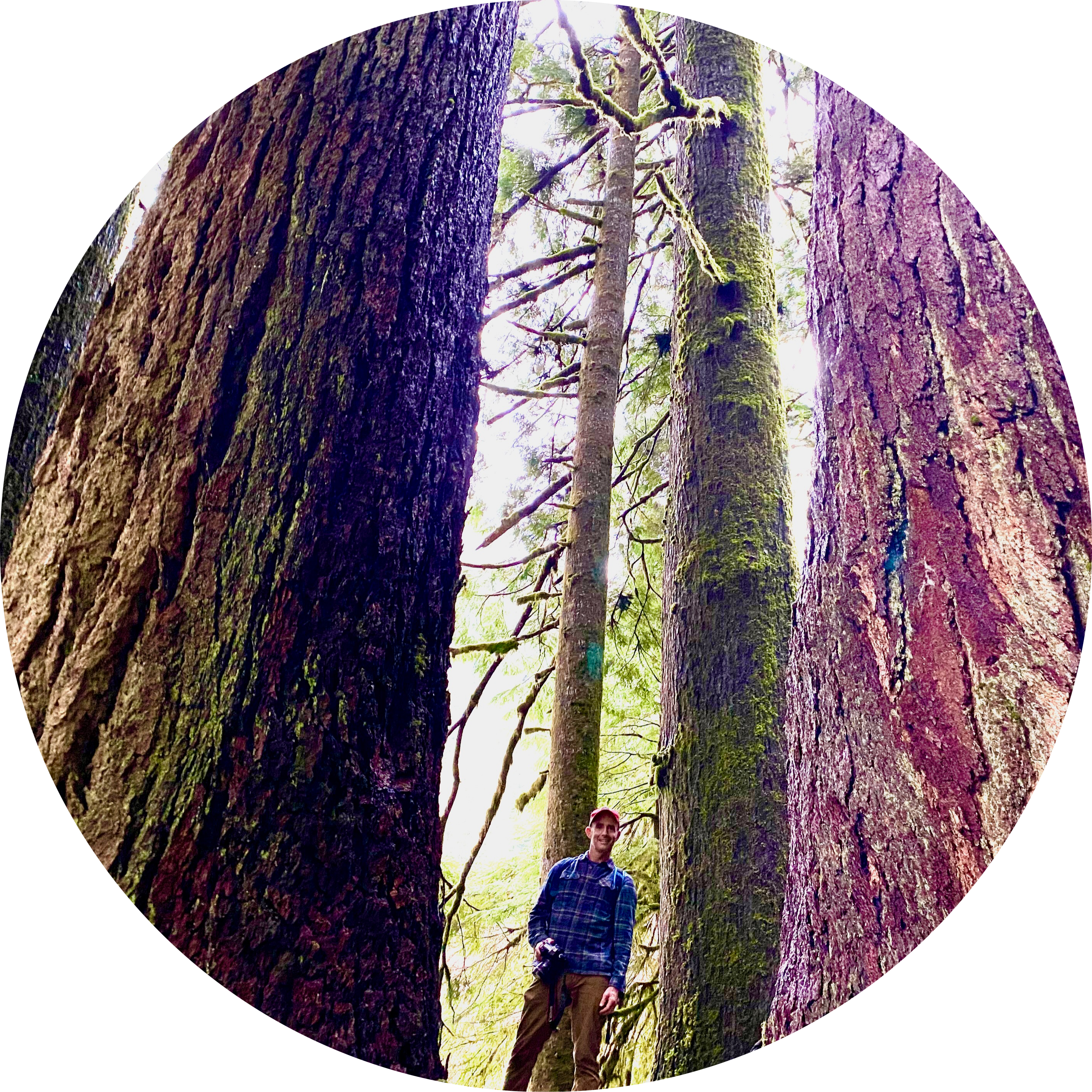 Go to the profile of Matthew Betts