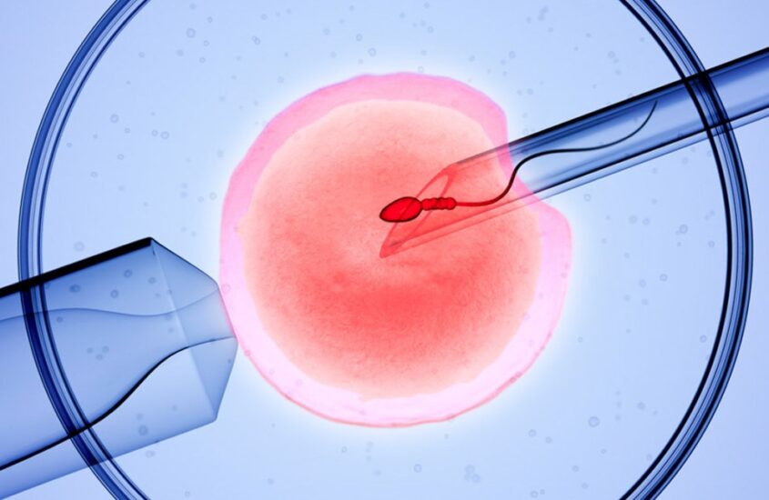 Empowering Hope and Science on World IVF Day