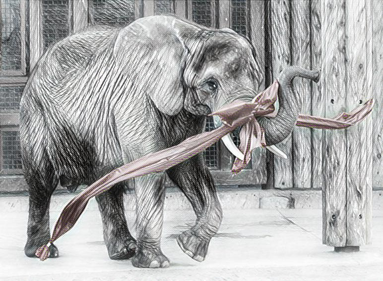 How a zoo elephant helps us understand megaherbivore migrations