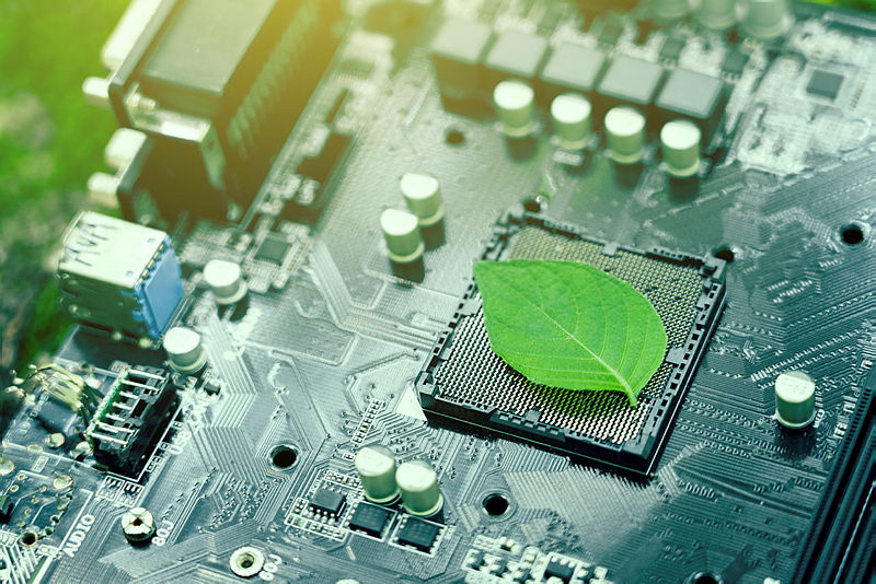 Deep Learning & Transfer Learning: CNNs for Plant Disease Detection, Classification, and Technological Innovation