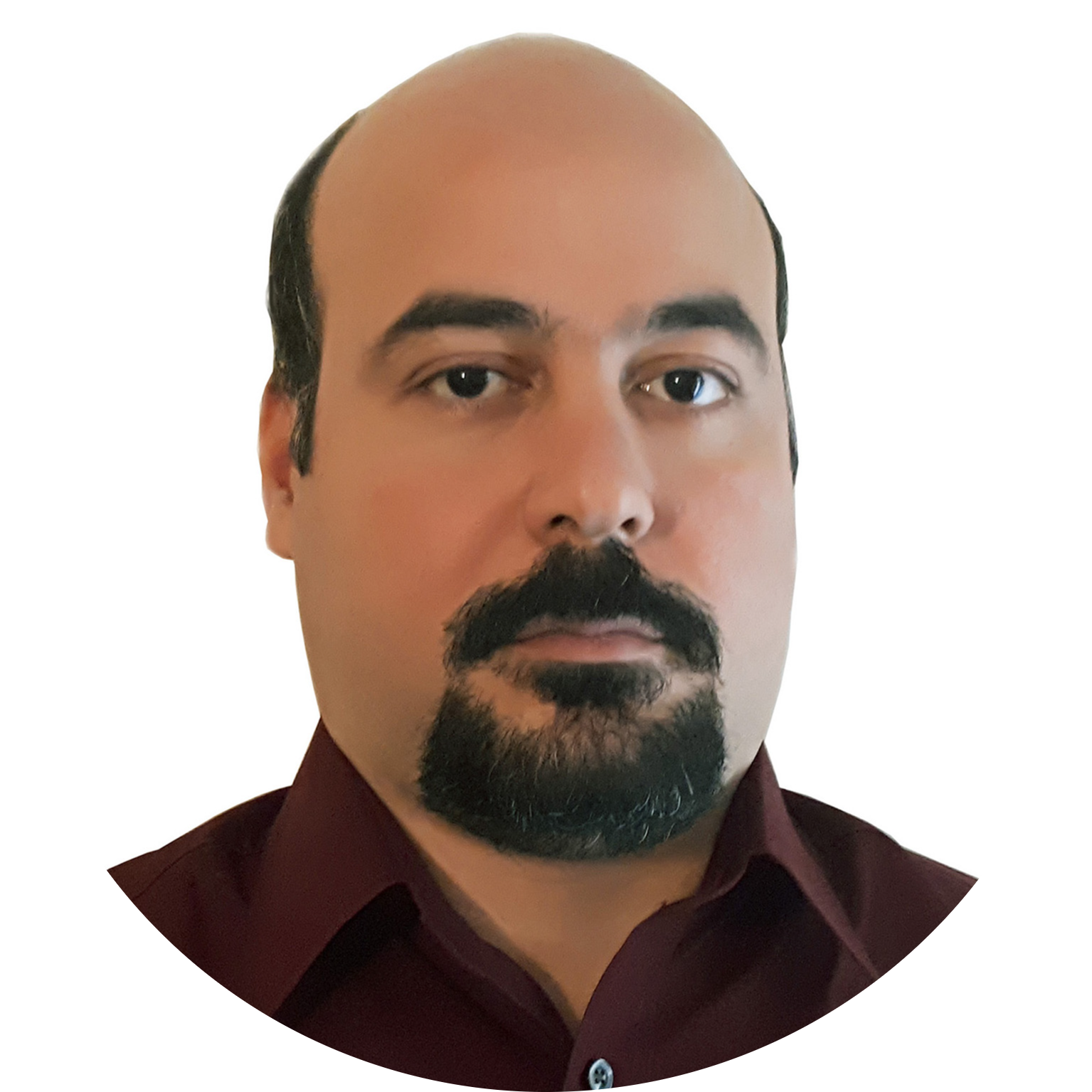 Go to the profile of Vahid Tavakoli