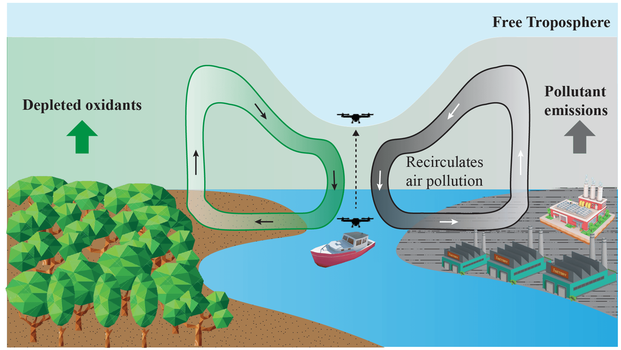 Amazonian river winds unraveled by in situ air pollution observations over river