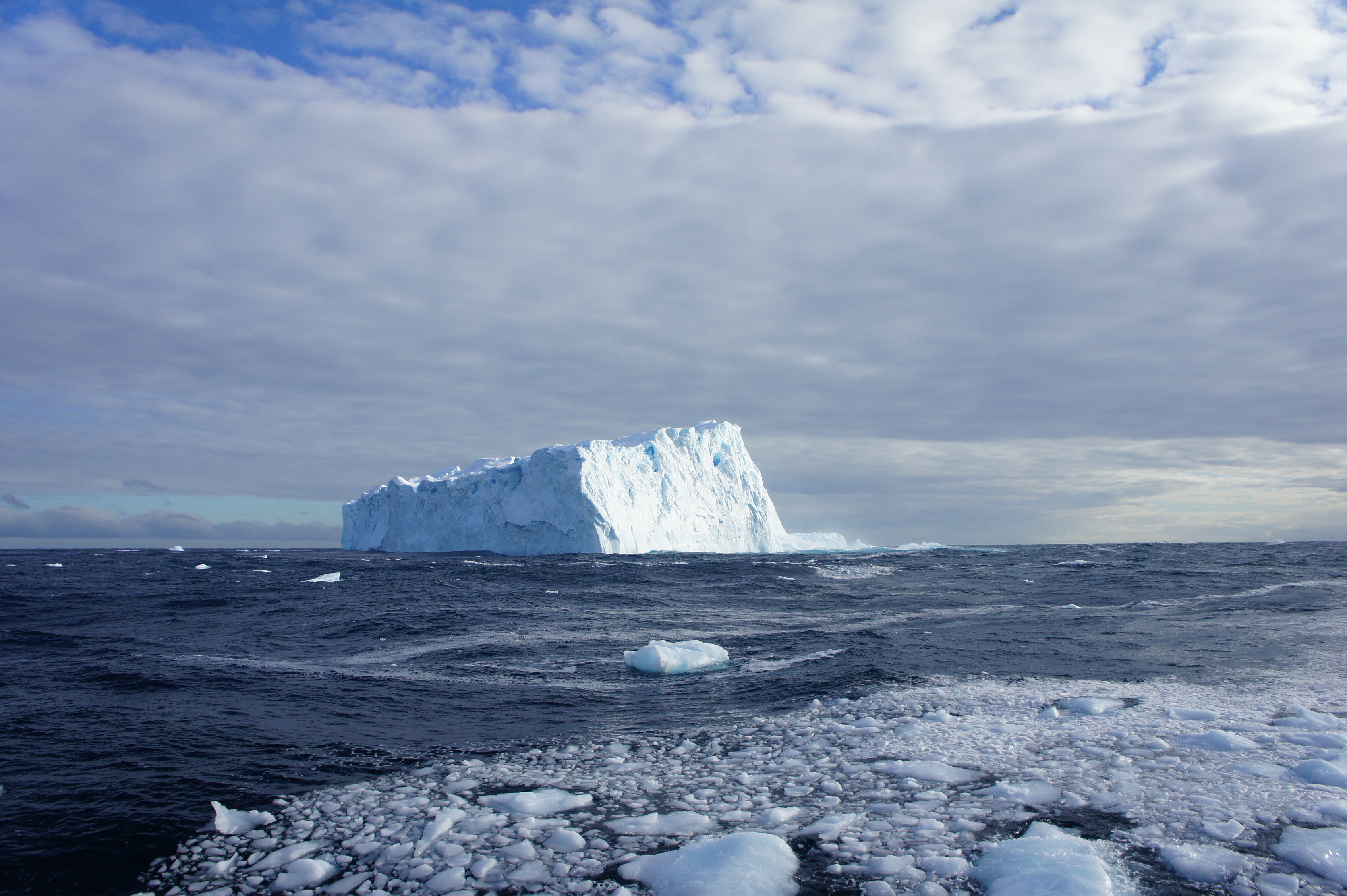 Incorporating viruses into the concept of biogeochemical cycles