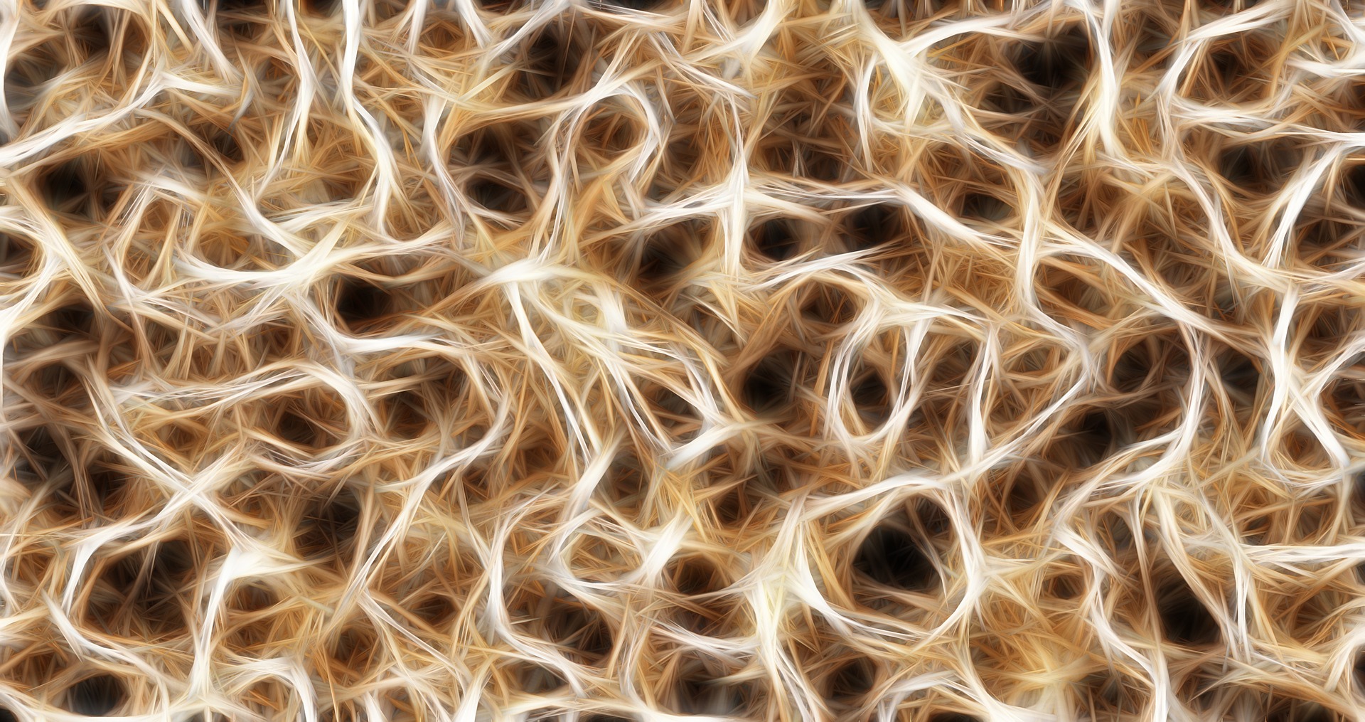 Deciphering claustrum connectivity