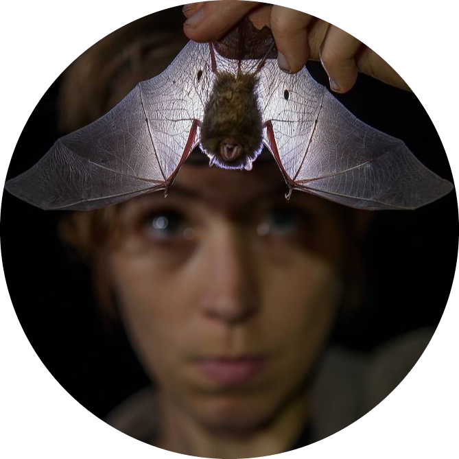 Go to the profile of Alice C. Hughes