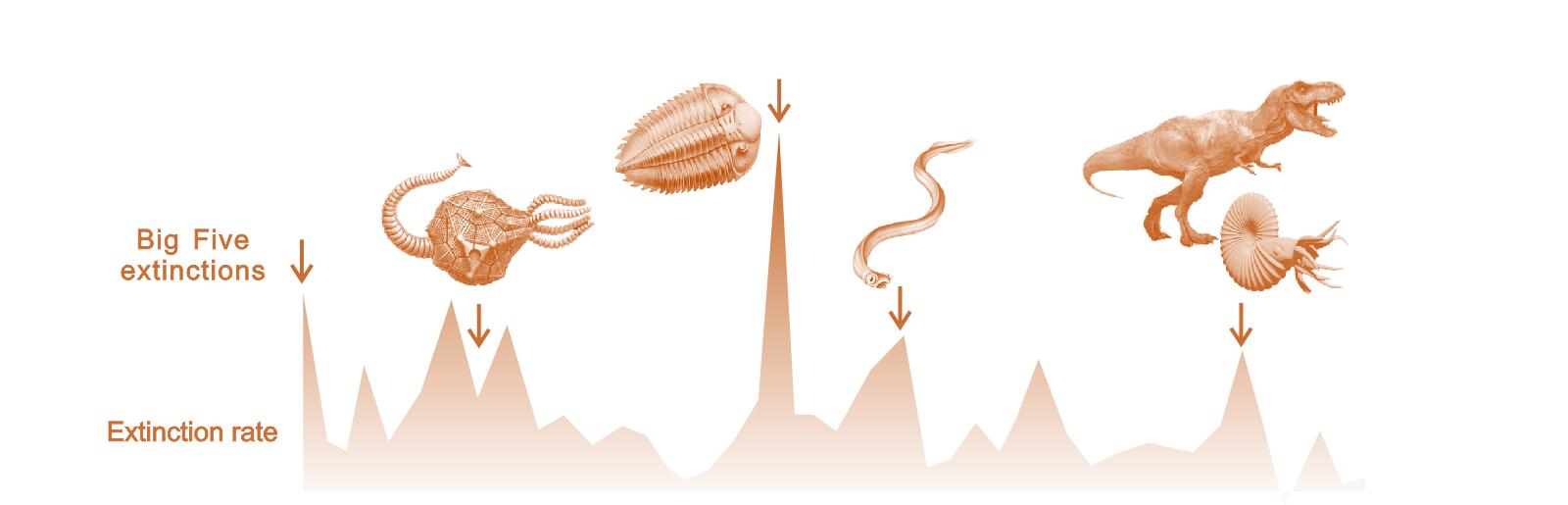 Mass extinctions correlate with the extent of climate change