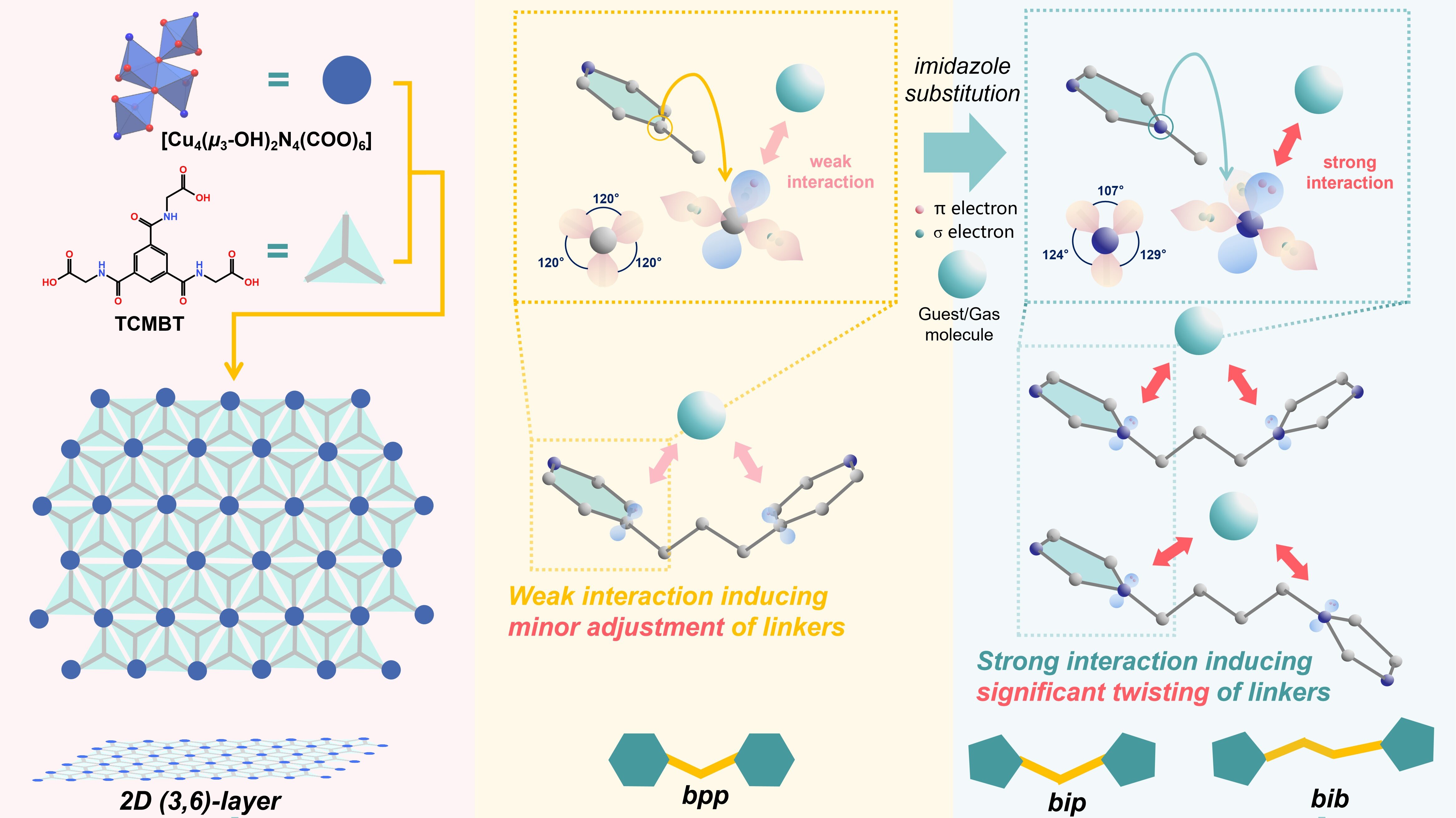 Behind the Paper: The Key Role of Lone-pair-electrons in Governing Gas-recognizable Flexibility of MOFs for Gas Separation and the Aqueous Scalable Synthesis