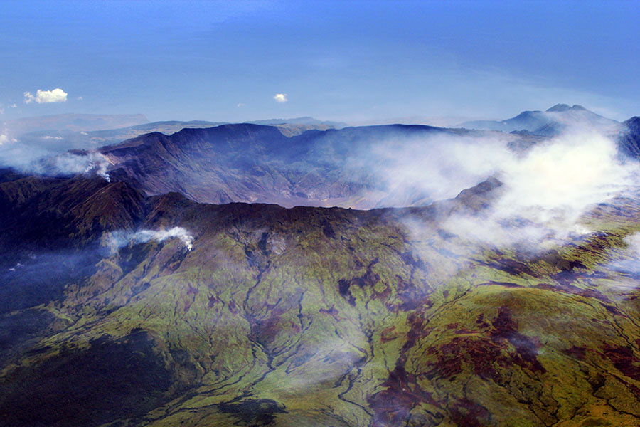 Mapping global tree growth resilience to cold extremes: a lens through Tambora volcanic eruption