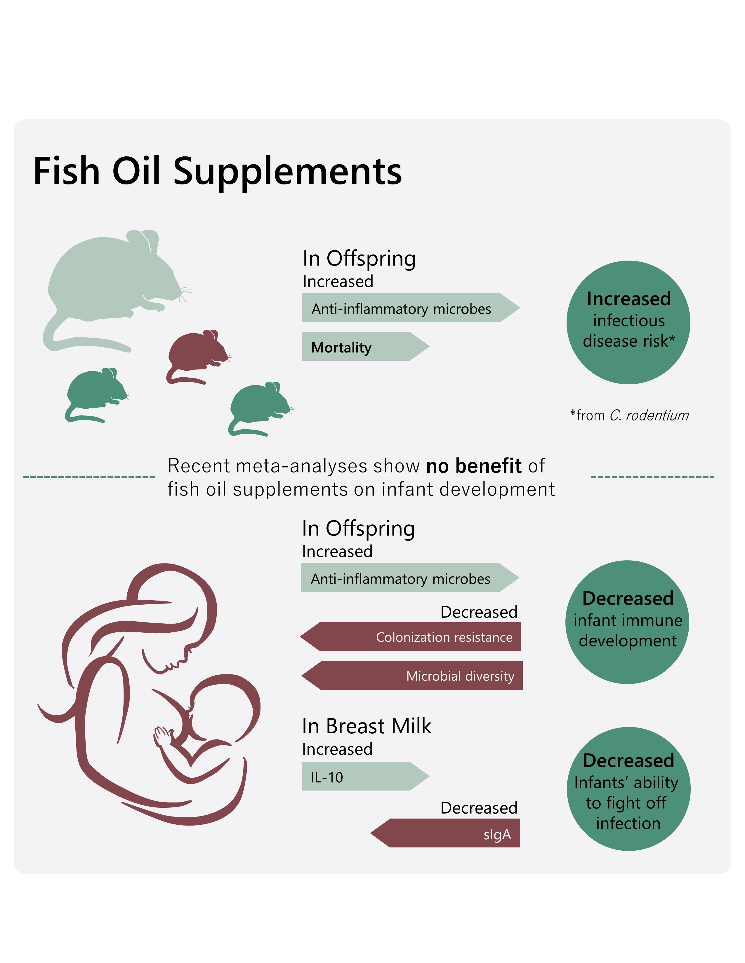 Fish oil supplements reduce an infant's chance of fighting off an infection