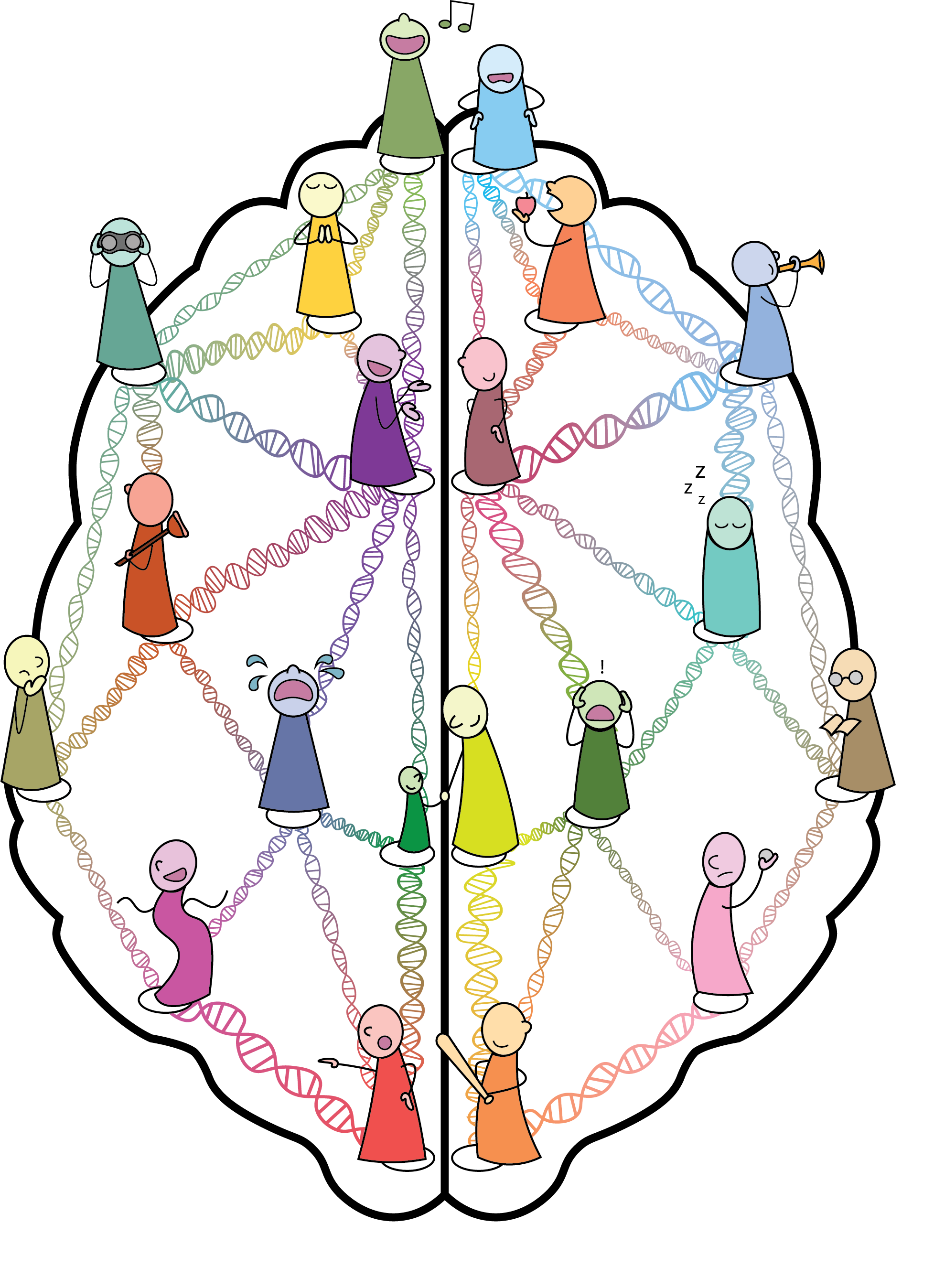 From Genes to Cognition