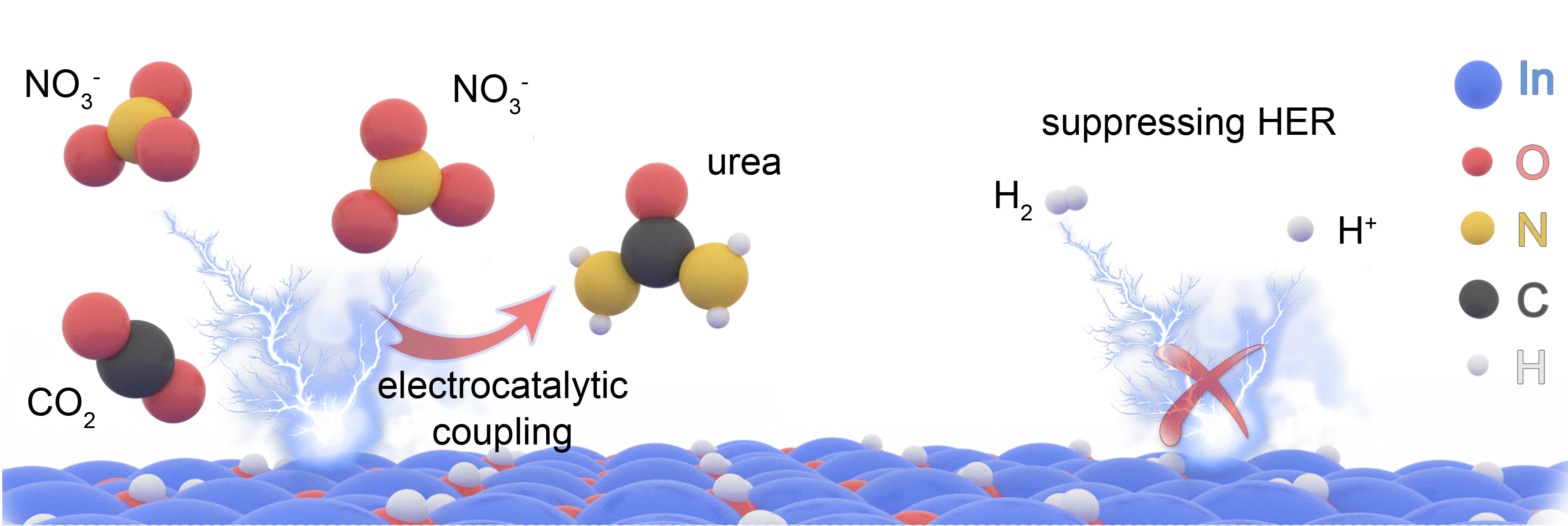 A more sustainable pathway towards urea synthesis with nitrate and carbon dioxide
