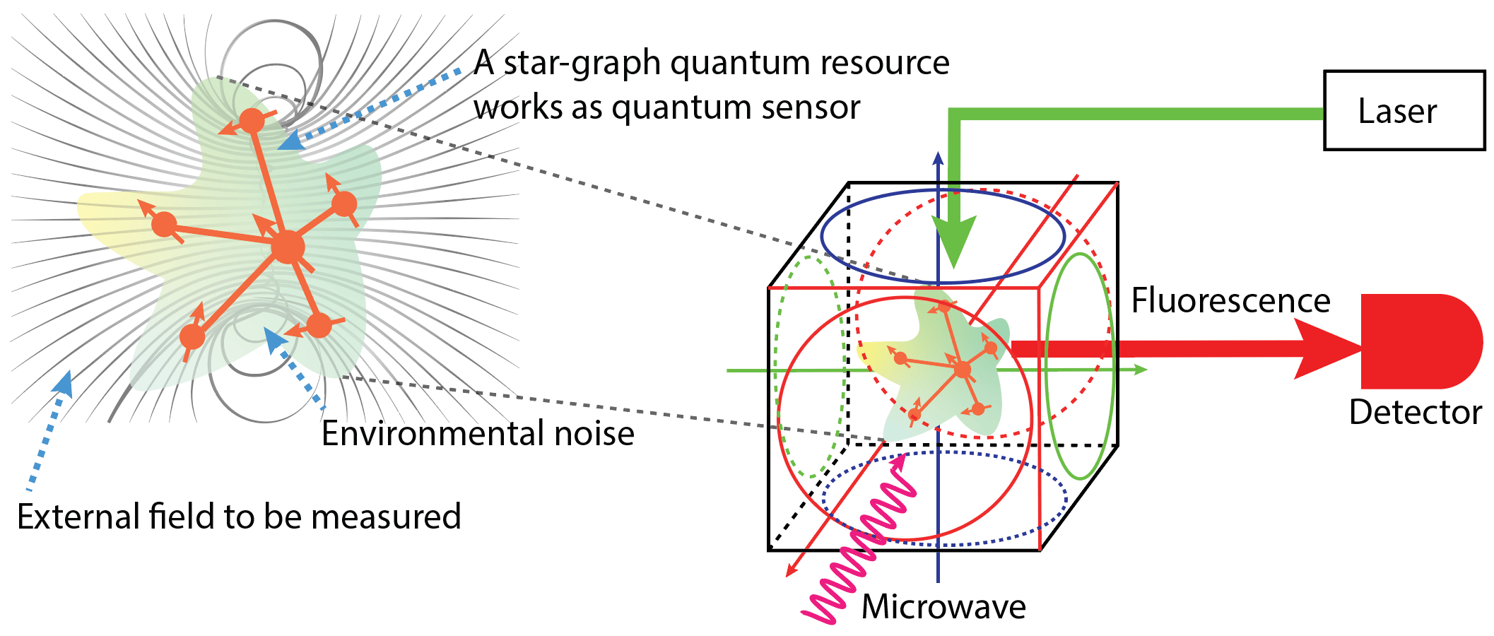 Revolutionary Quantum Resource Boosts Magnetic Field Measurement Accuracy