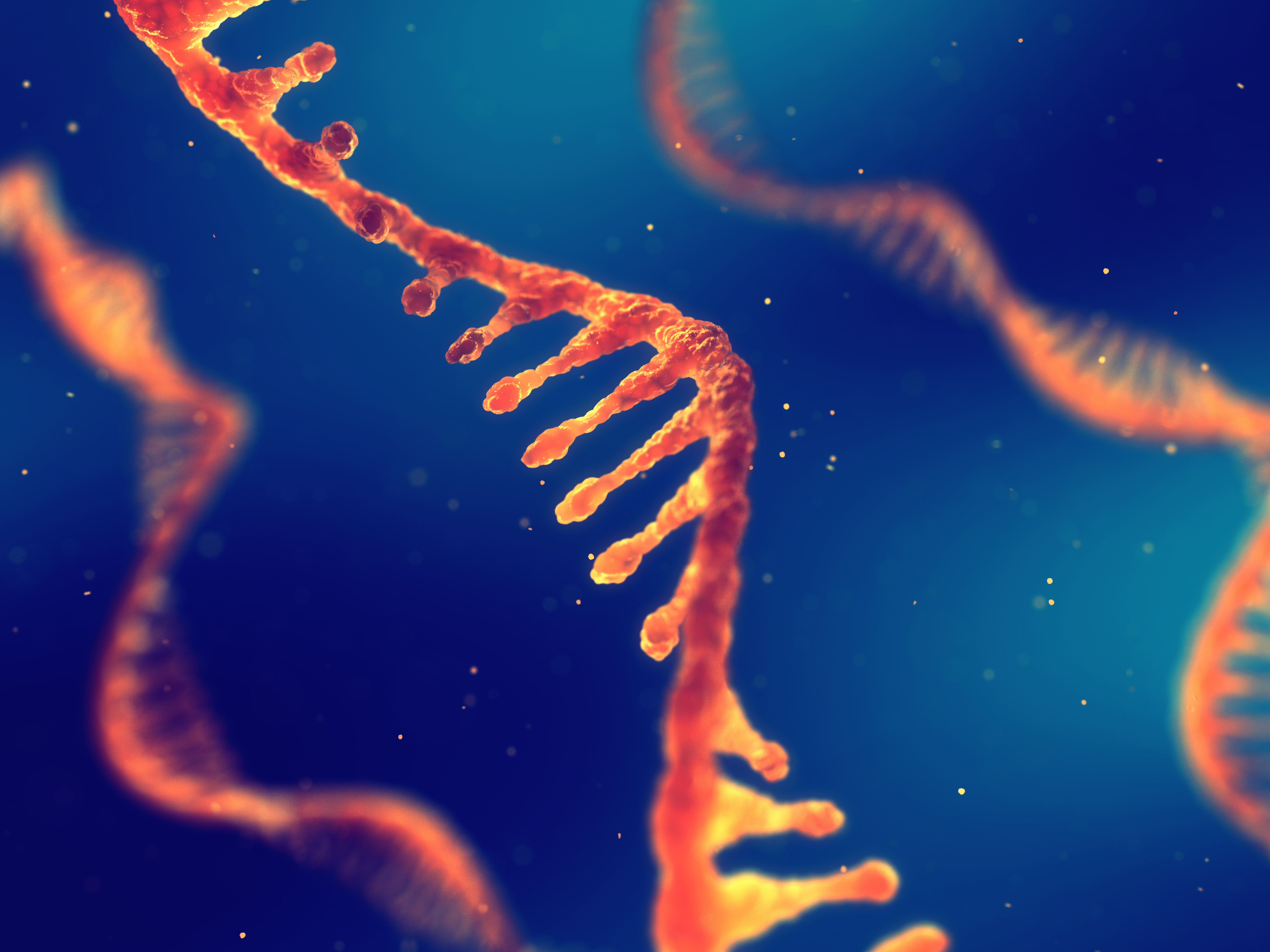 An end-to-end workflow to study newly synthesized mRNA following rapid protein depletion in Saccharomyces cerevisiae
