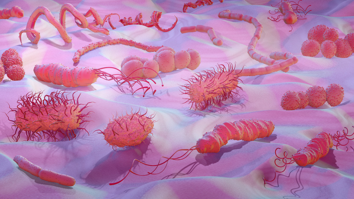 Biomedicine - June Collection launches 