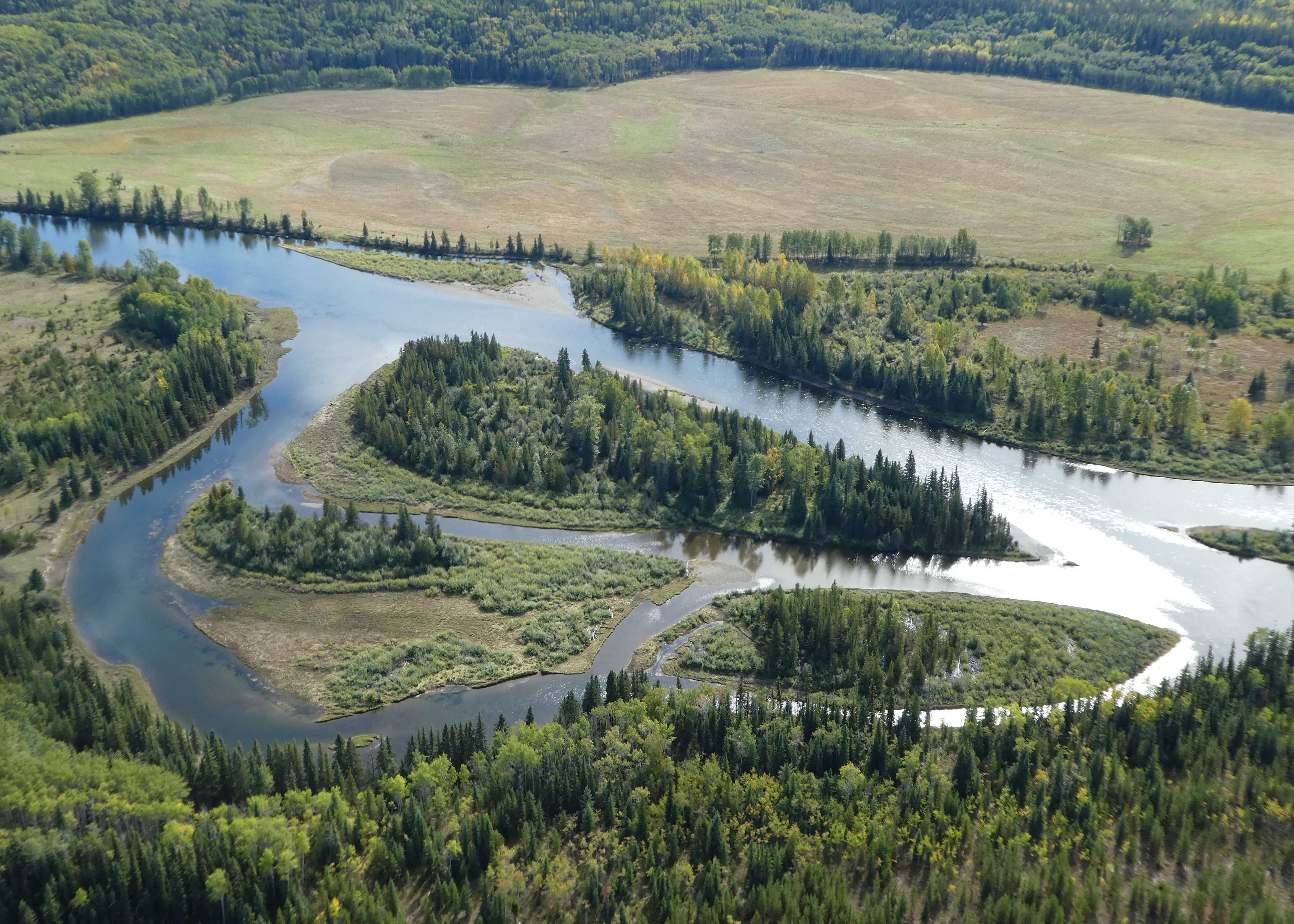 Extreme hydrometeorological events induce abrupt and widespread changes in Pacific Northwest freshwater temperatures